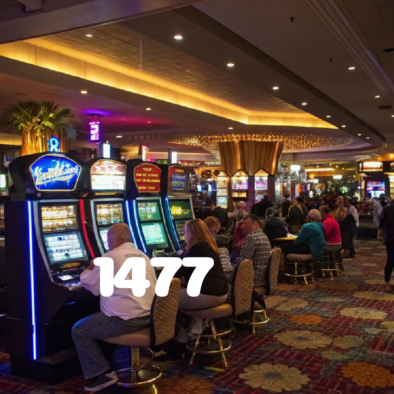 1477